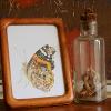 Butterfly Art Print