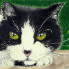 Portrait of Marvin Art Print