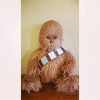 Teetoo Wookiee
