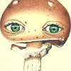 Anthropomorphic Mushroom Art Print